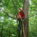 10 mai – Ziua Pasarilor si a Arborilor ziua-pasarilor-si-a-arborilor