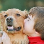 Animalele ii calmeaza pe copiii agitati