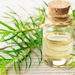 Ulei de arbore de ceai: gaseste-l pe cel mai bun si afla cum sa-l folosesti