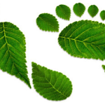 Ce este amprenta de carbon si cum o reducem?