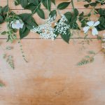 188 Citate Despre Flori