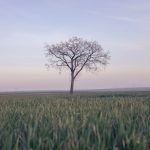 346 Citate Despre Viata Si Sentimente Citate frumoase