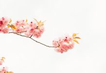 62 Mesaje De 1 Martie