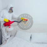 Ce trebuie să știți despre dezinsecția în București: Mituri și realități